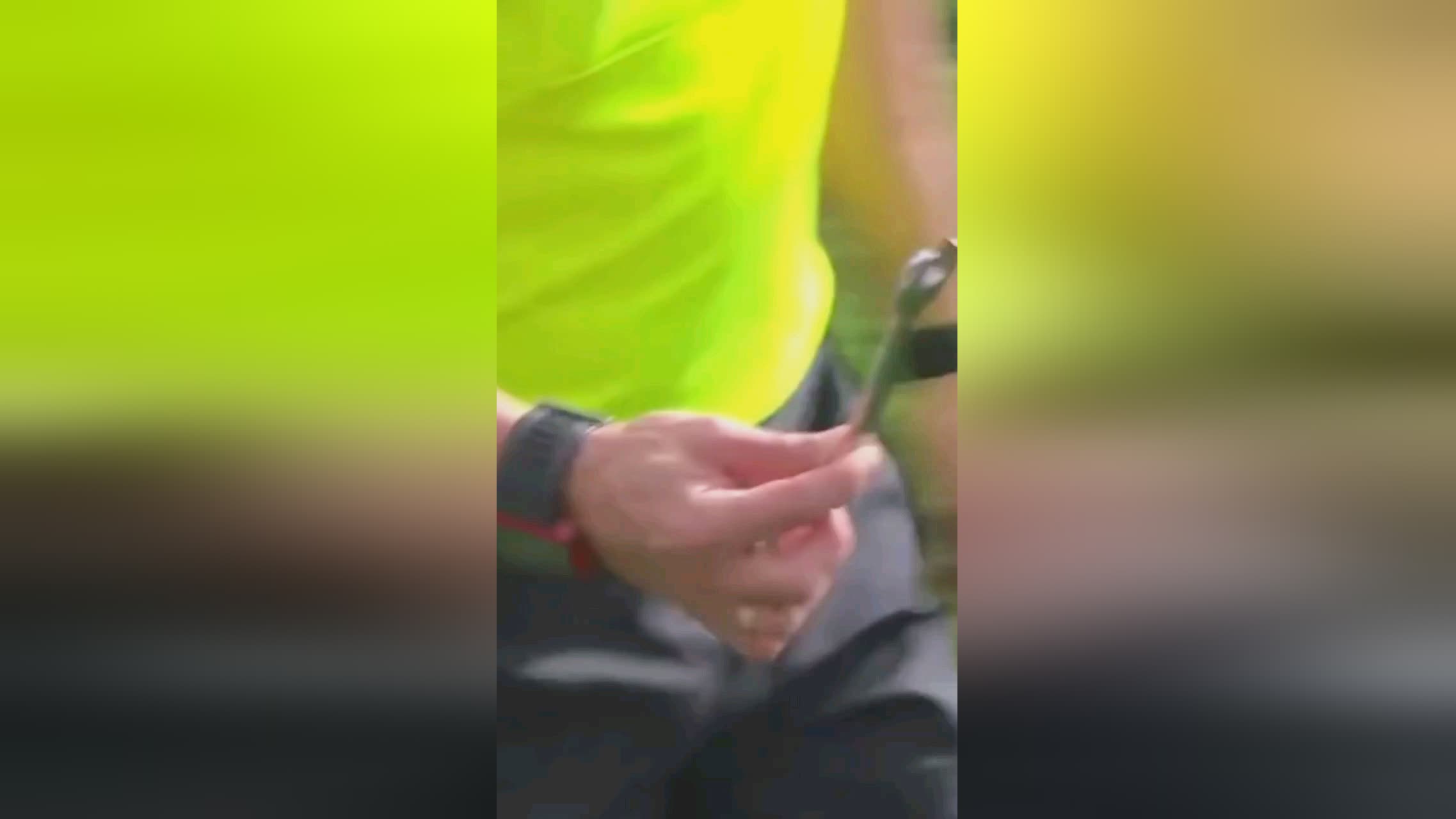 決被視